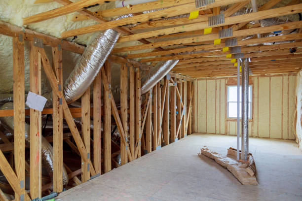 Best Eco-Friendly Insulation in Cleveland, FL