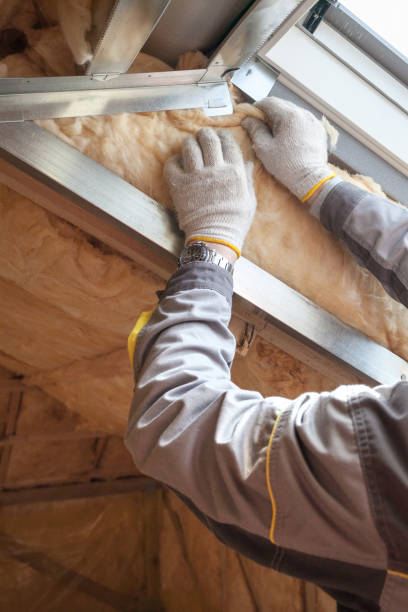 Best Blown-in Insulation in Cleveland, FL
