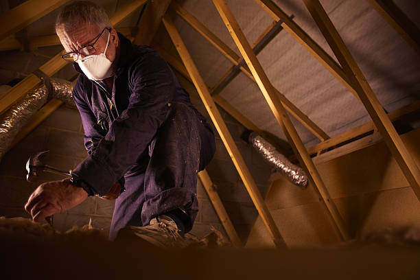 Types of Insulation We Offer in Cleveland, FL